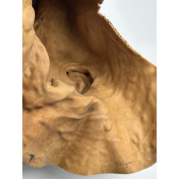 1989 Death Studios Dead Classic Zombie Halloween Mask Vintage Horror Haunt Scary - Picture 12 of 12